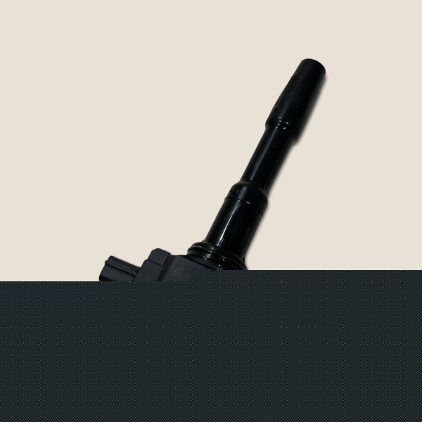 Bobina Ignição Nissan Kicks Sl 1.6 Flex 2019 Aut. (175) Bobina Ignição Nissan Kicks Sl 1.6 Flex 2019 Aut. (175)