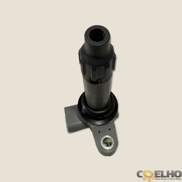 Bobina Ignição Captiva 3.6 V6 09/10 (1655) Ak